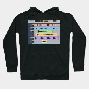 Audio Engineer Pro Tools DAW Musician Recording Program Home Studio Gift Hoodie